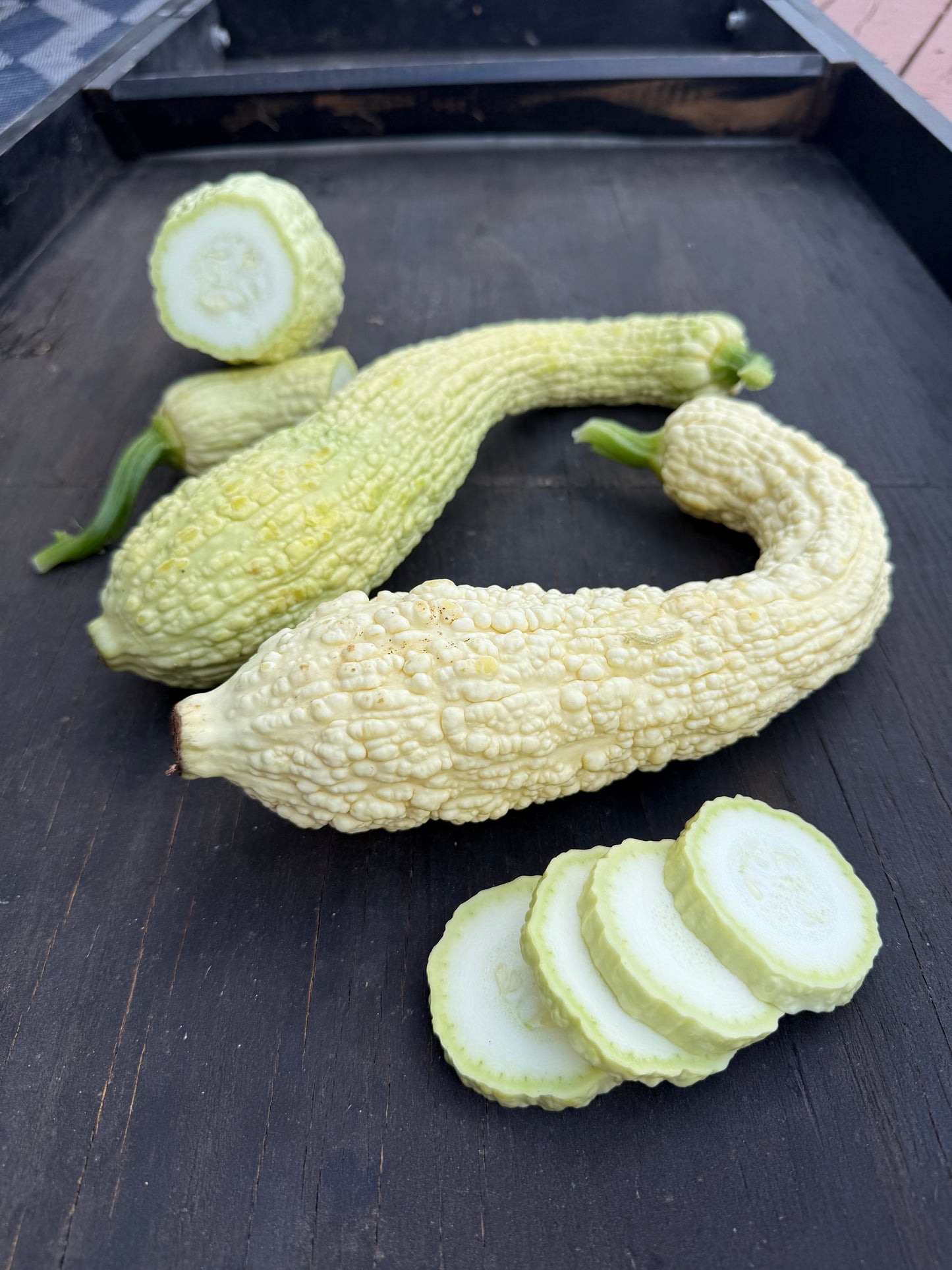 Summer Squash - Rugosa Friulana