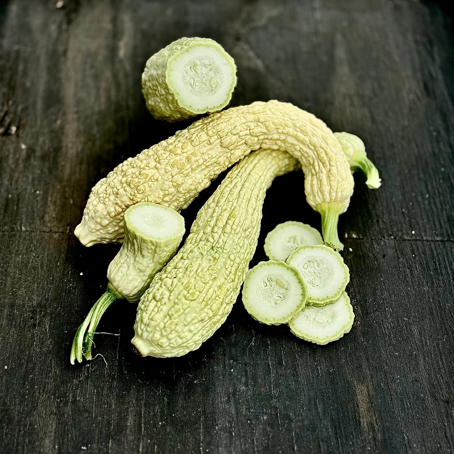 Summer Squash - Rugosa Friulana