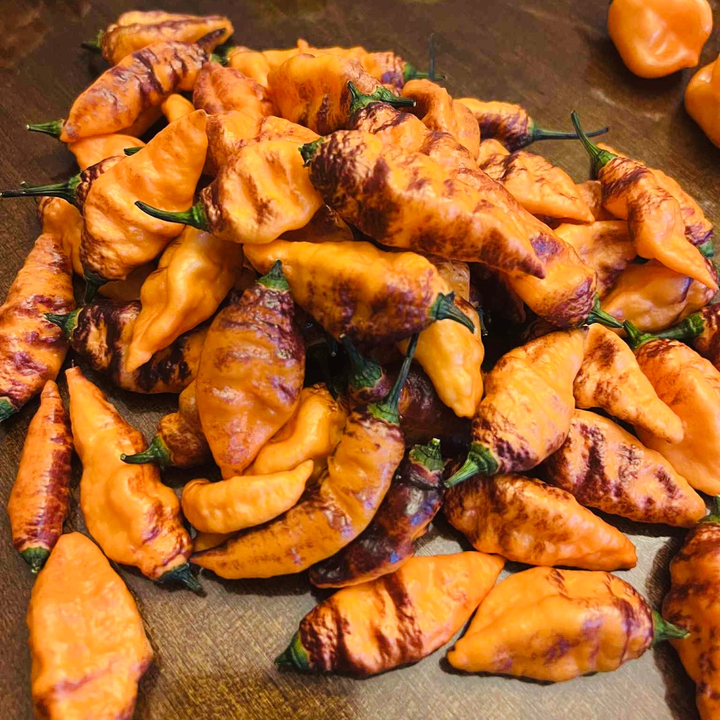 Pepper - Black Panther