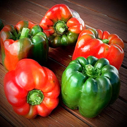 Pepper - Ozark Giant