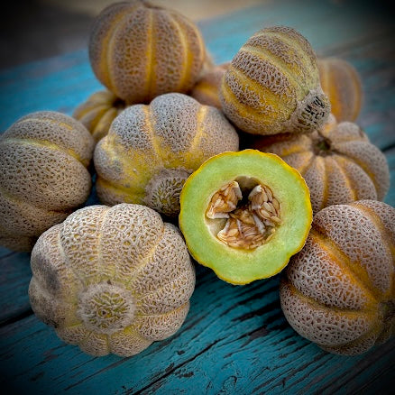 Melon - Jenny Lind