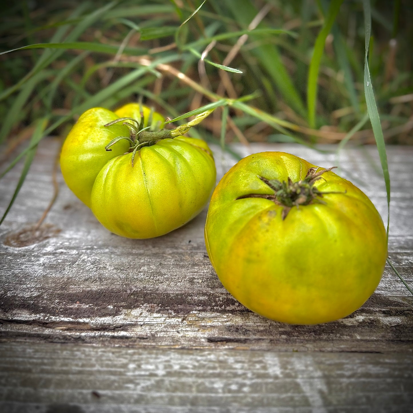 Tomato - Emerald Apple