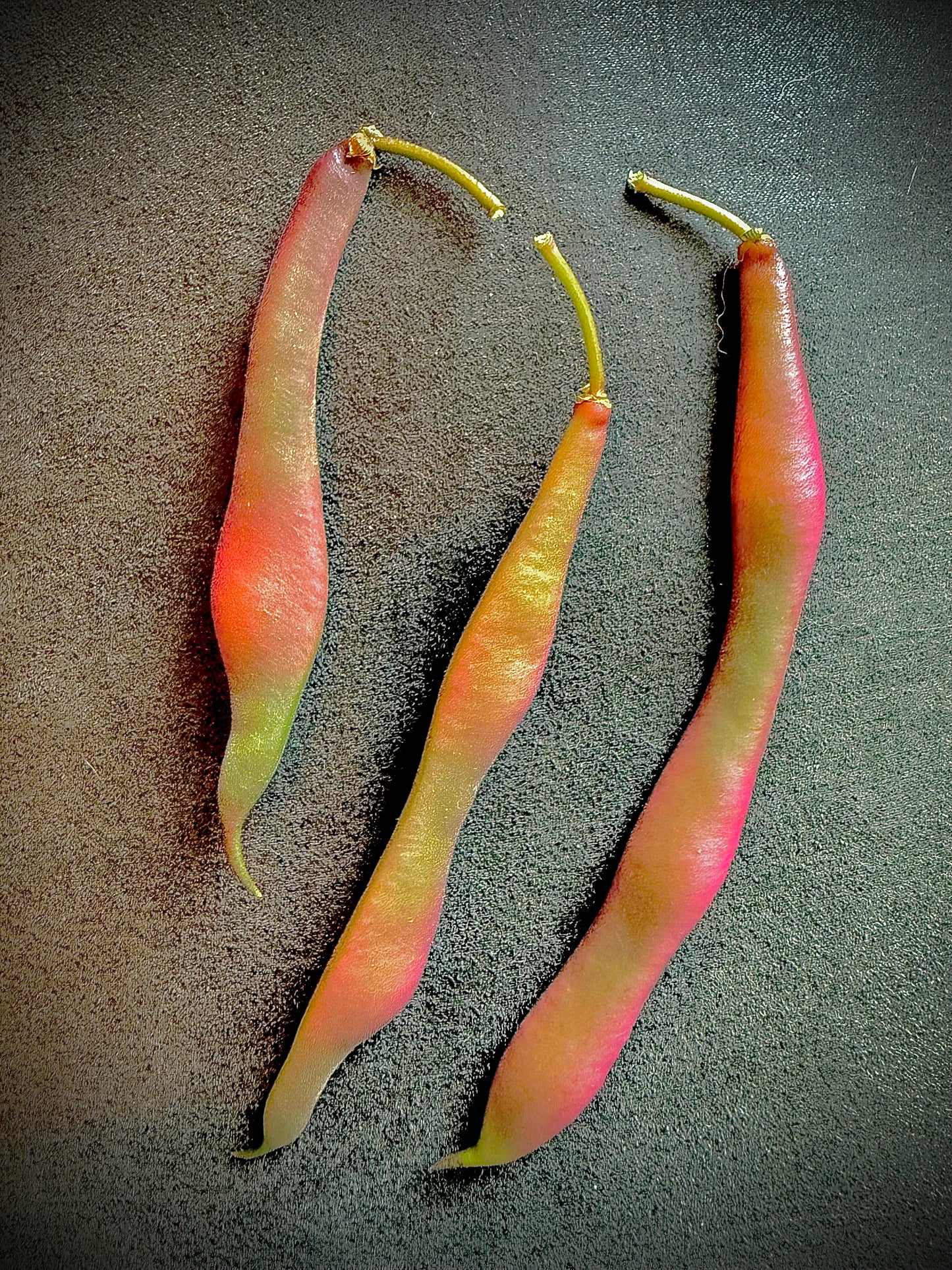 Bean - Tanya’s Pink Pod