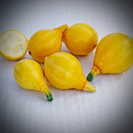 Squash - Lemon