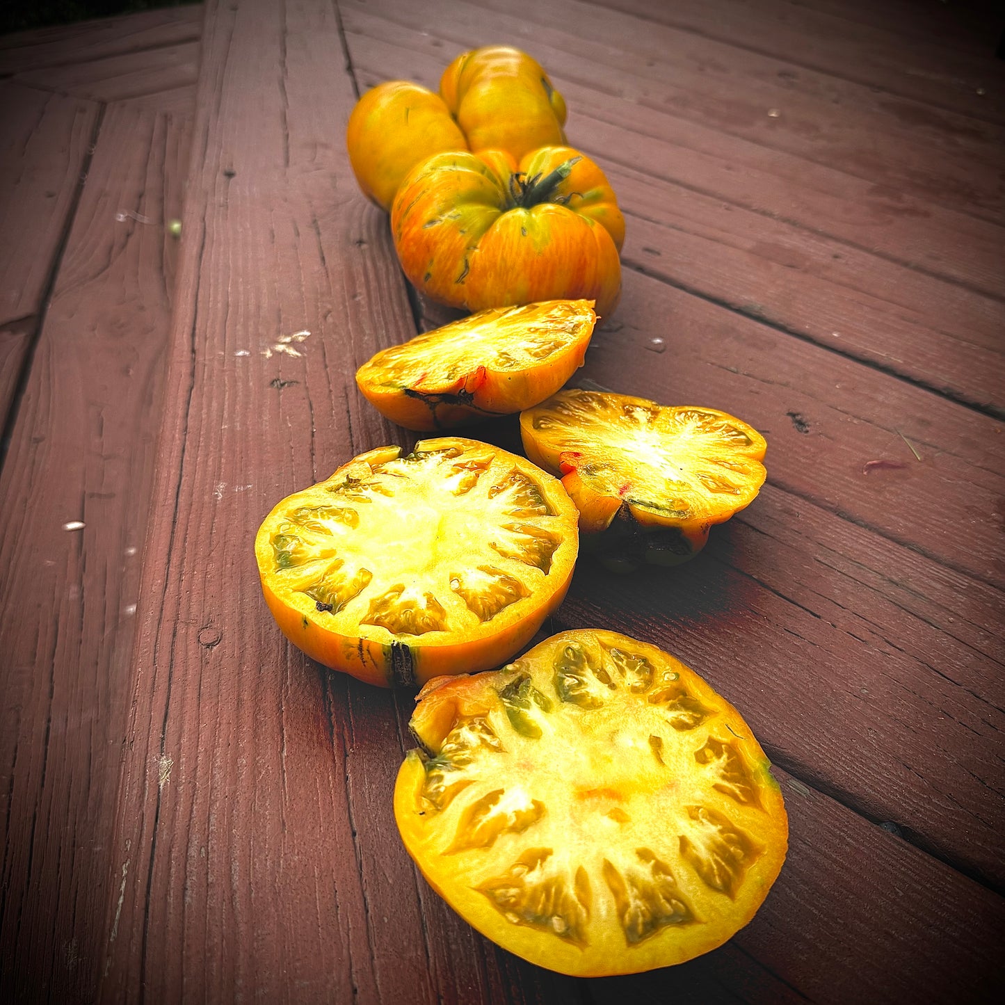 Tomato - Beauty King