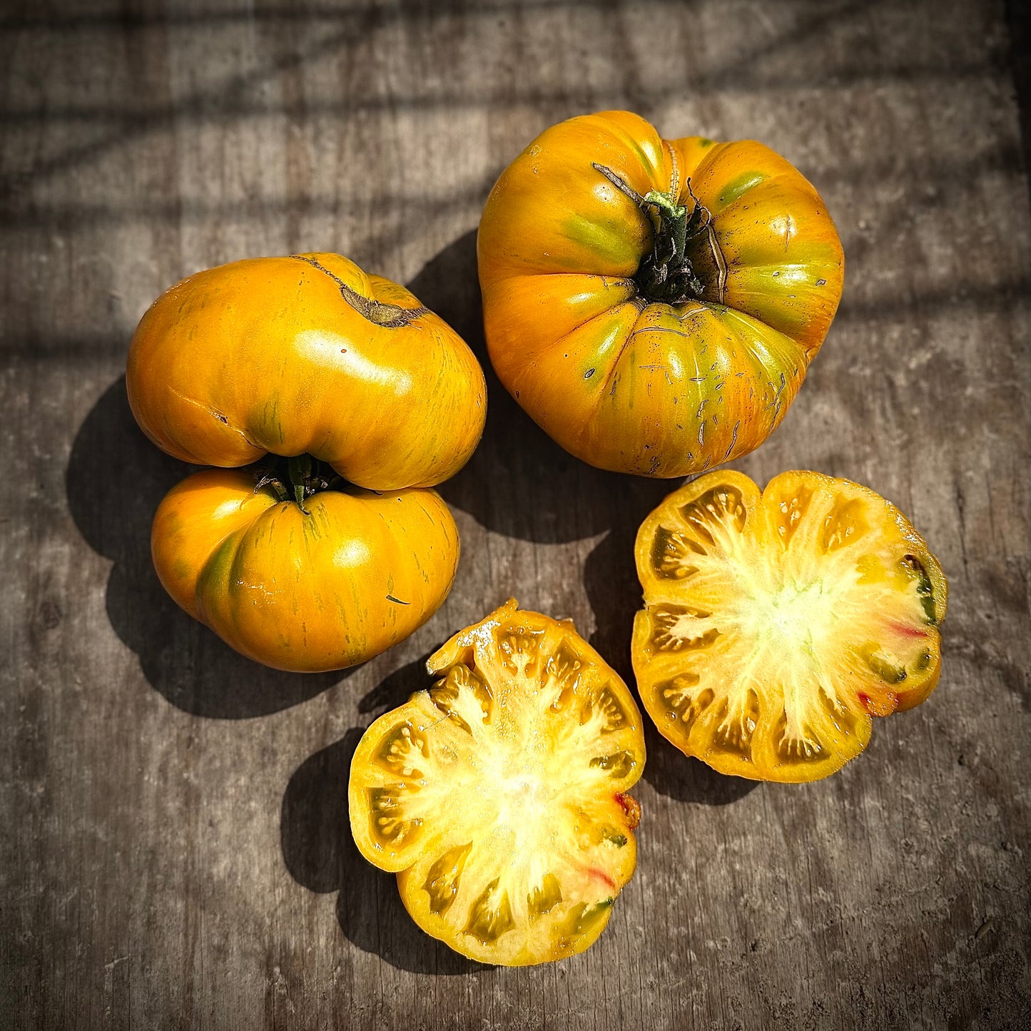 Tomato - Beauty King