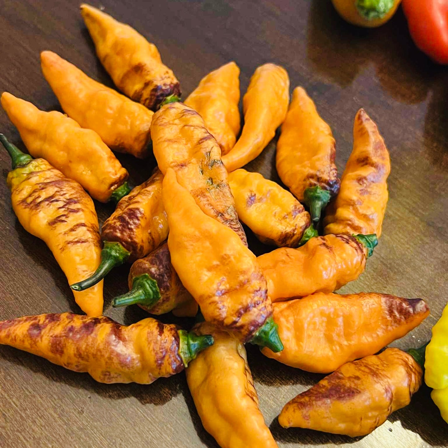 Pepper - Black Panther