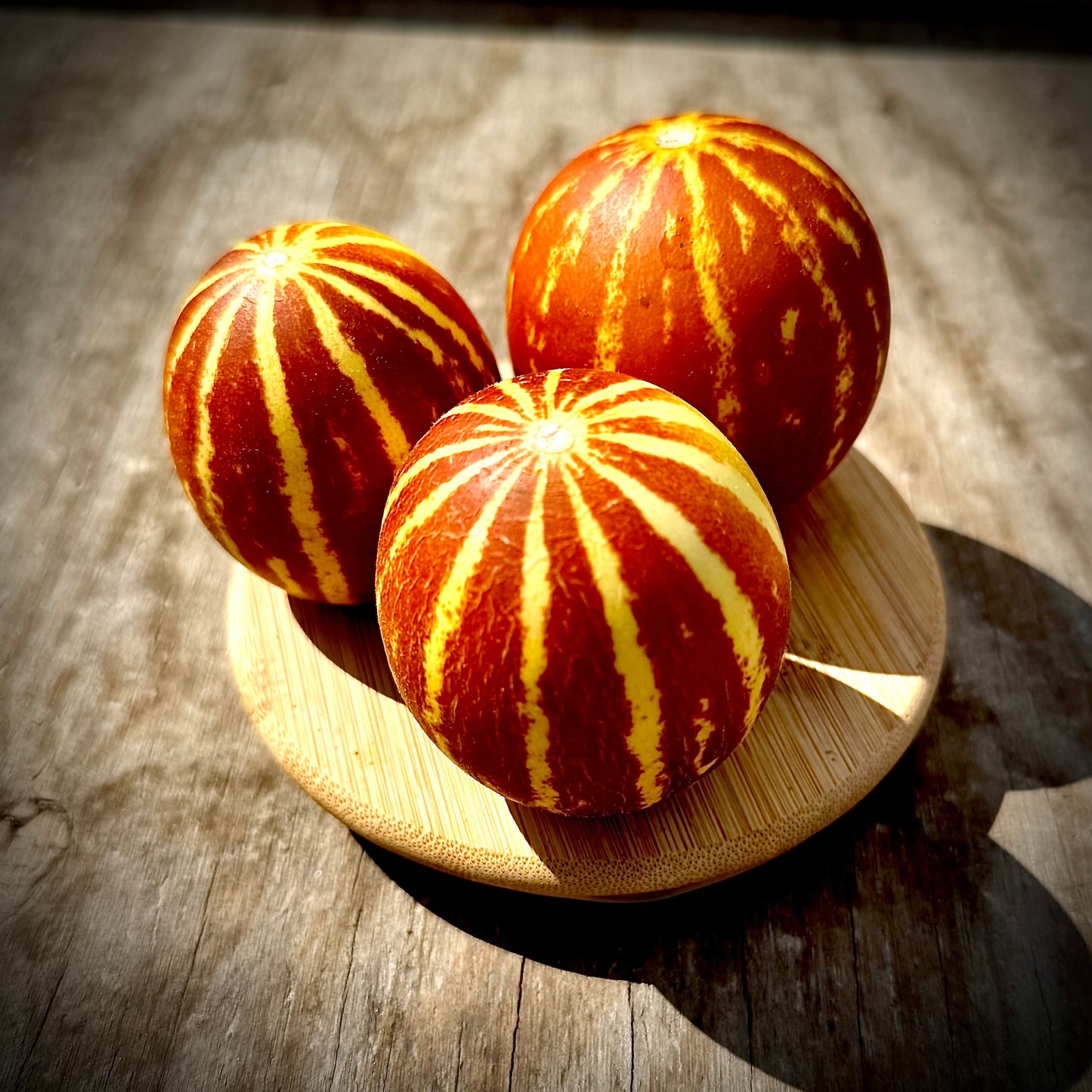 Rich Sweetness 132 Melon Heirloom Seeds (10+ Seeds)