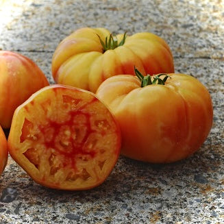 Tomato - Virginia Sweets
