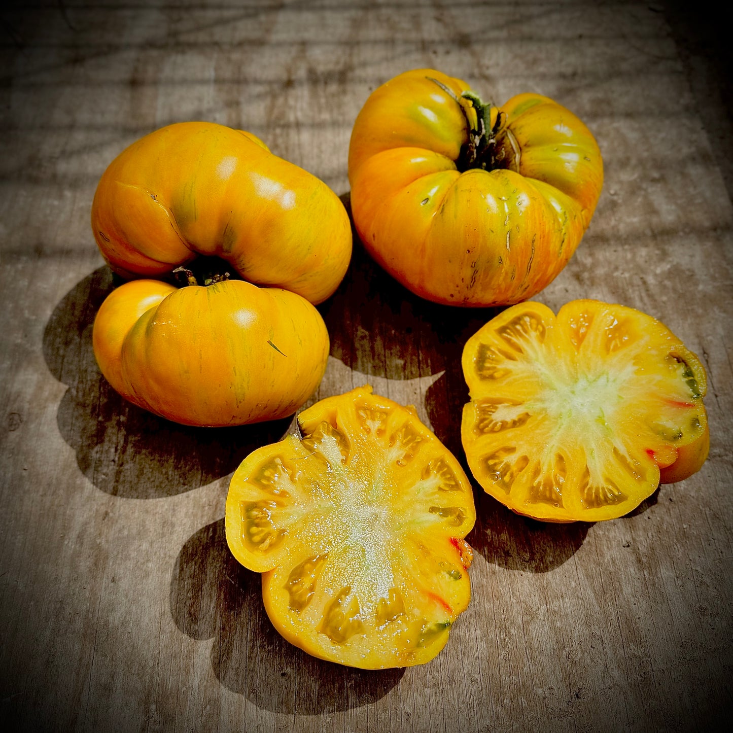 Tomato - Beauty King