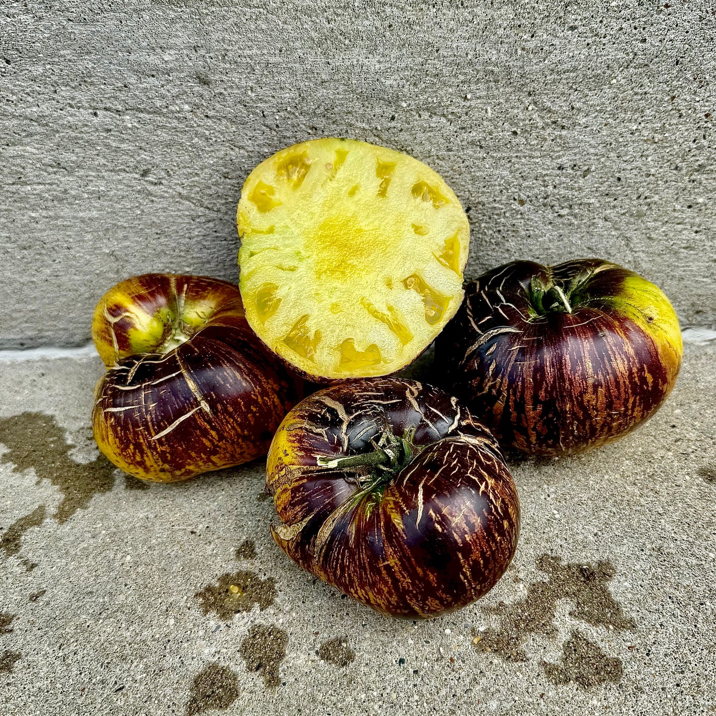Tomato - Sun Queen
