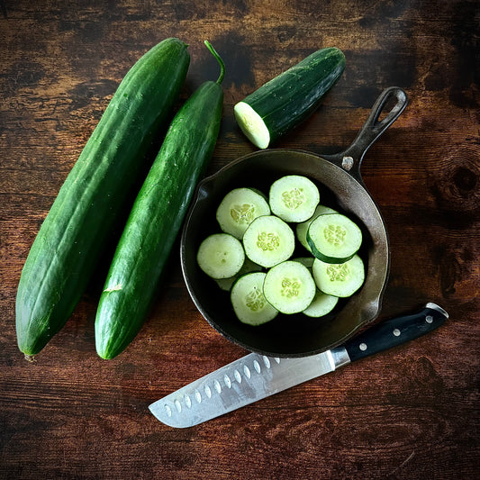 Cucumber - Shintokiwa