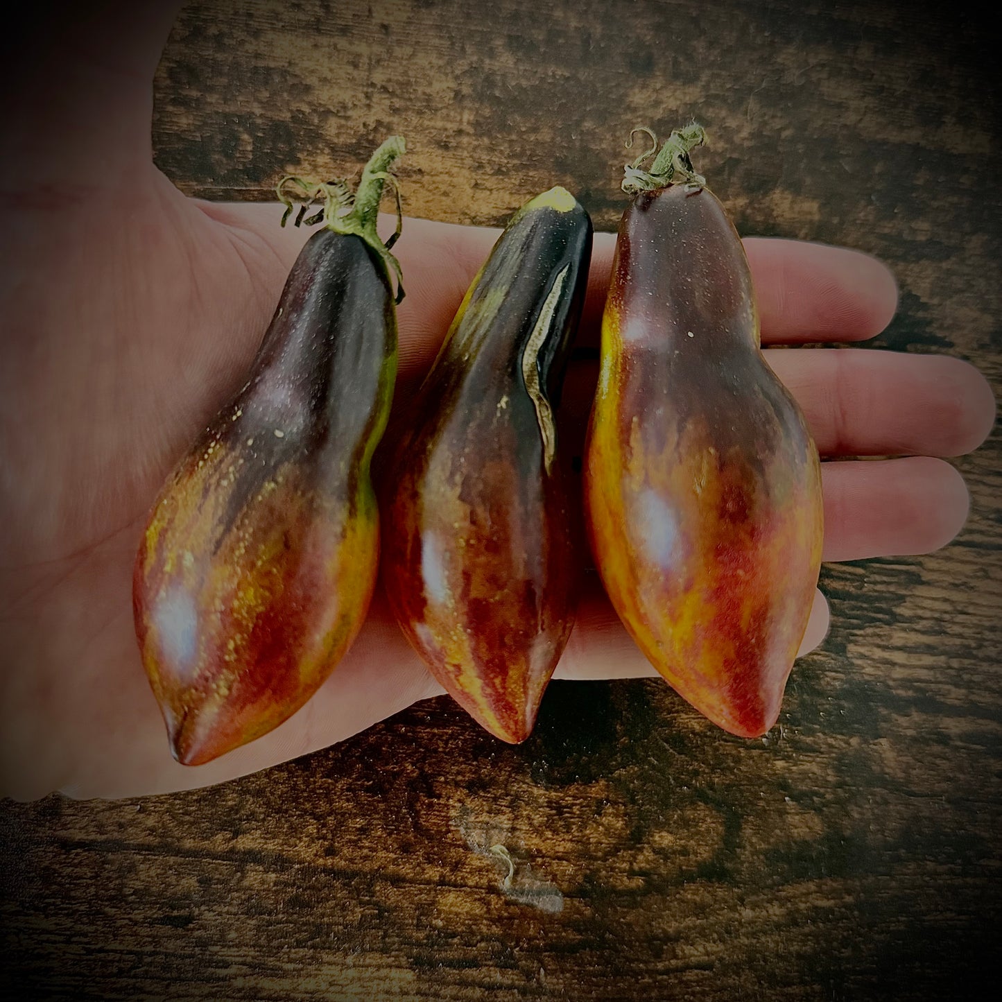 Tomato - Pink Panther