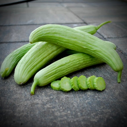 Cucumber - Armenian