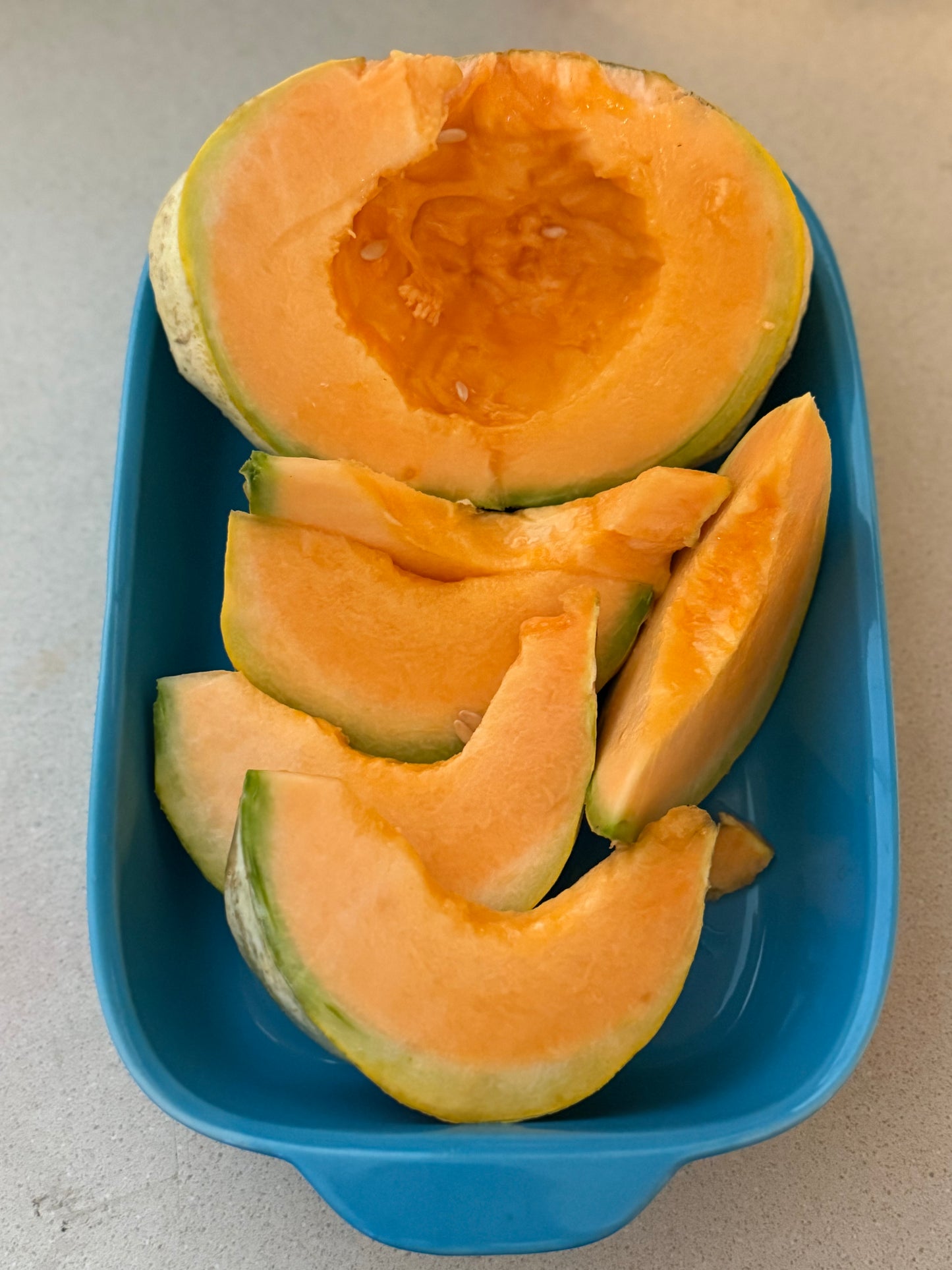 Melon - Prescott Fond Blanc