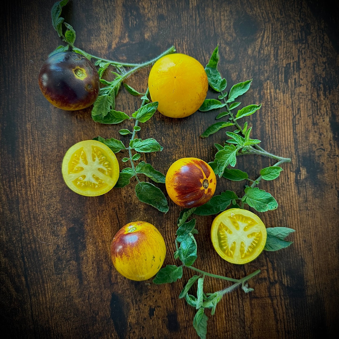 Tomato - Dark Knight