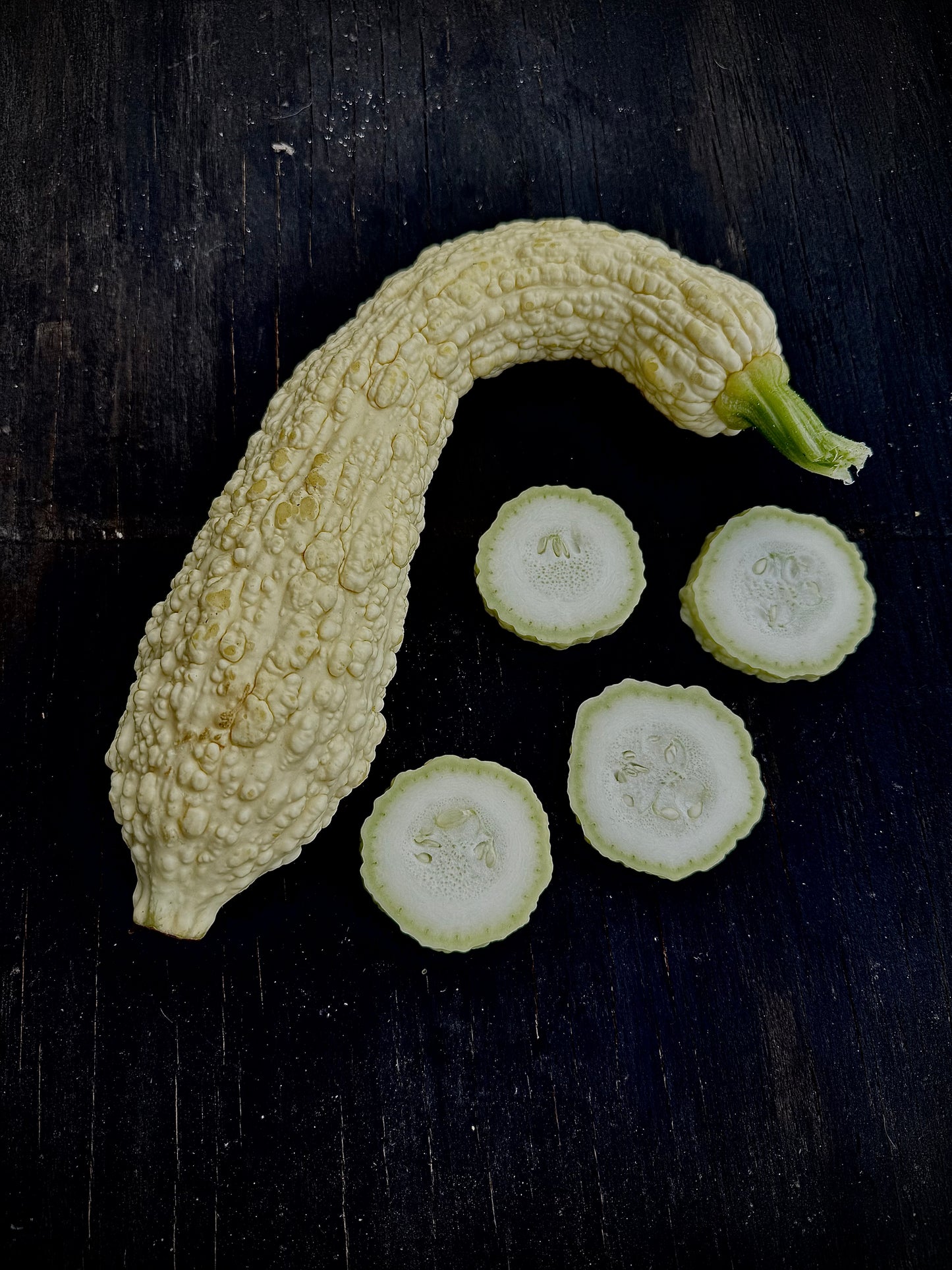 Summer Squash - Rugosa Friulana