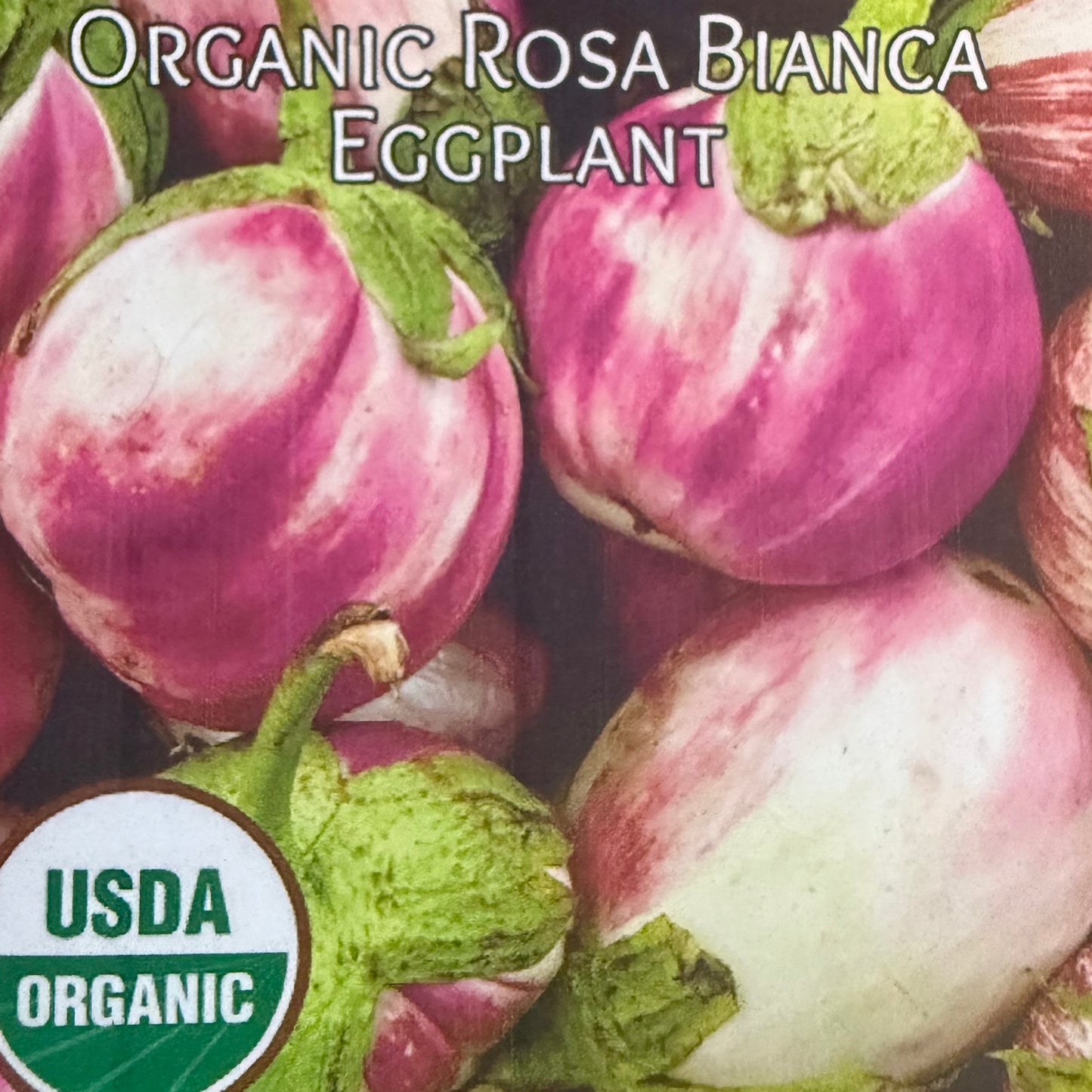 Eggplant - Rosa Bianca