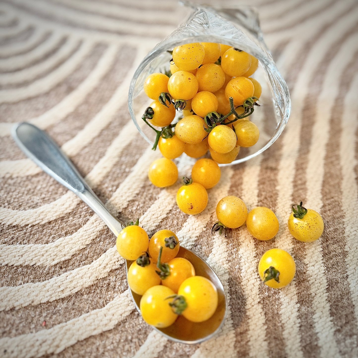 Tomato - White Currant