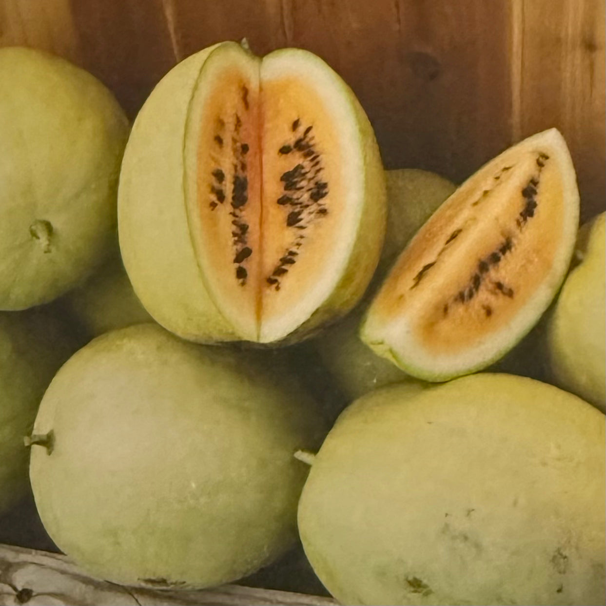 Watermelon - Desert King