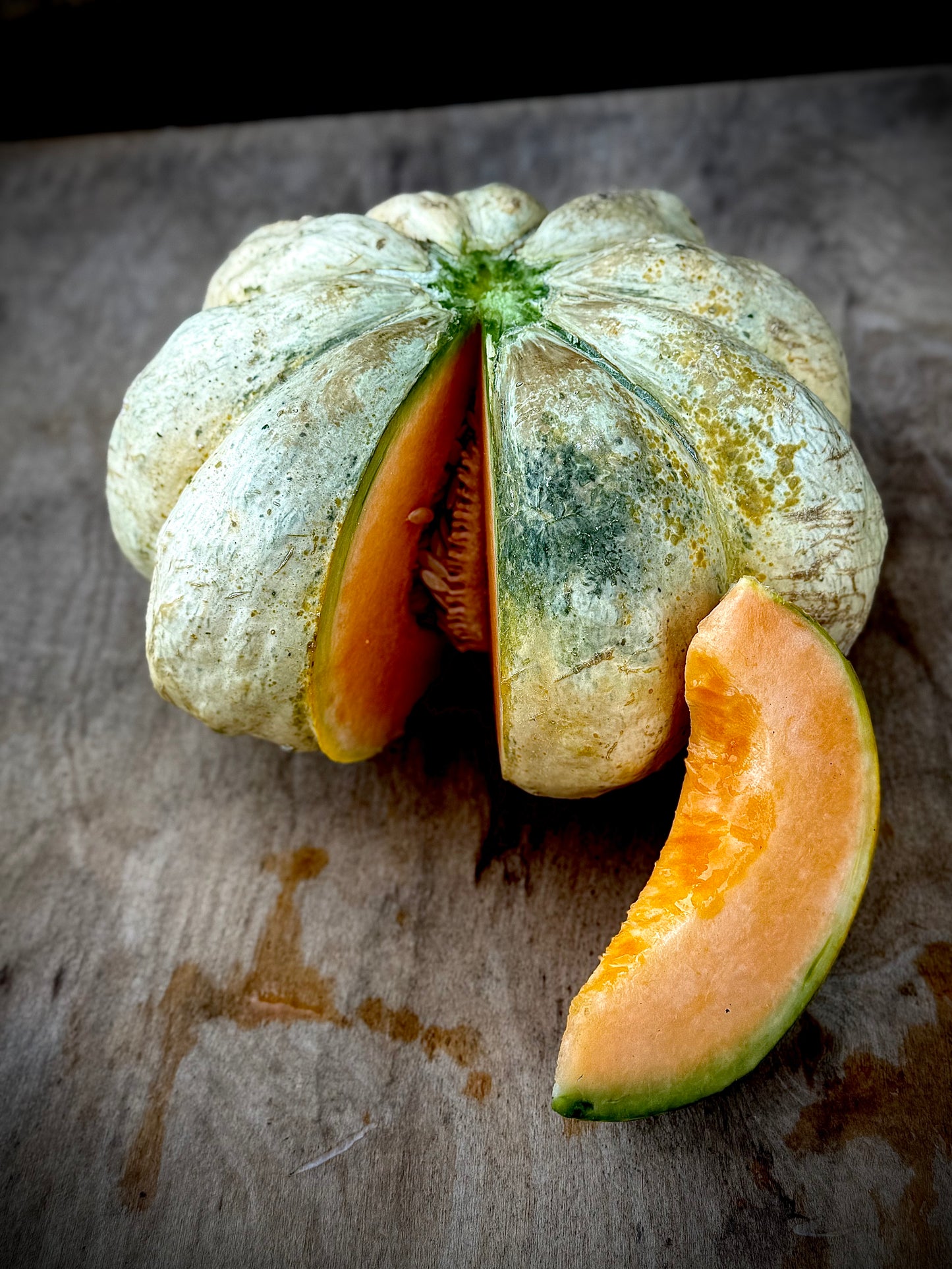 Melon - Prescott Fond Blanc