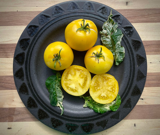 Tomato - Pico’s Pride