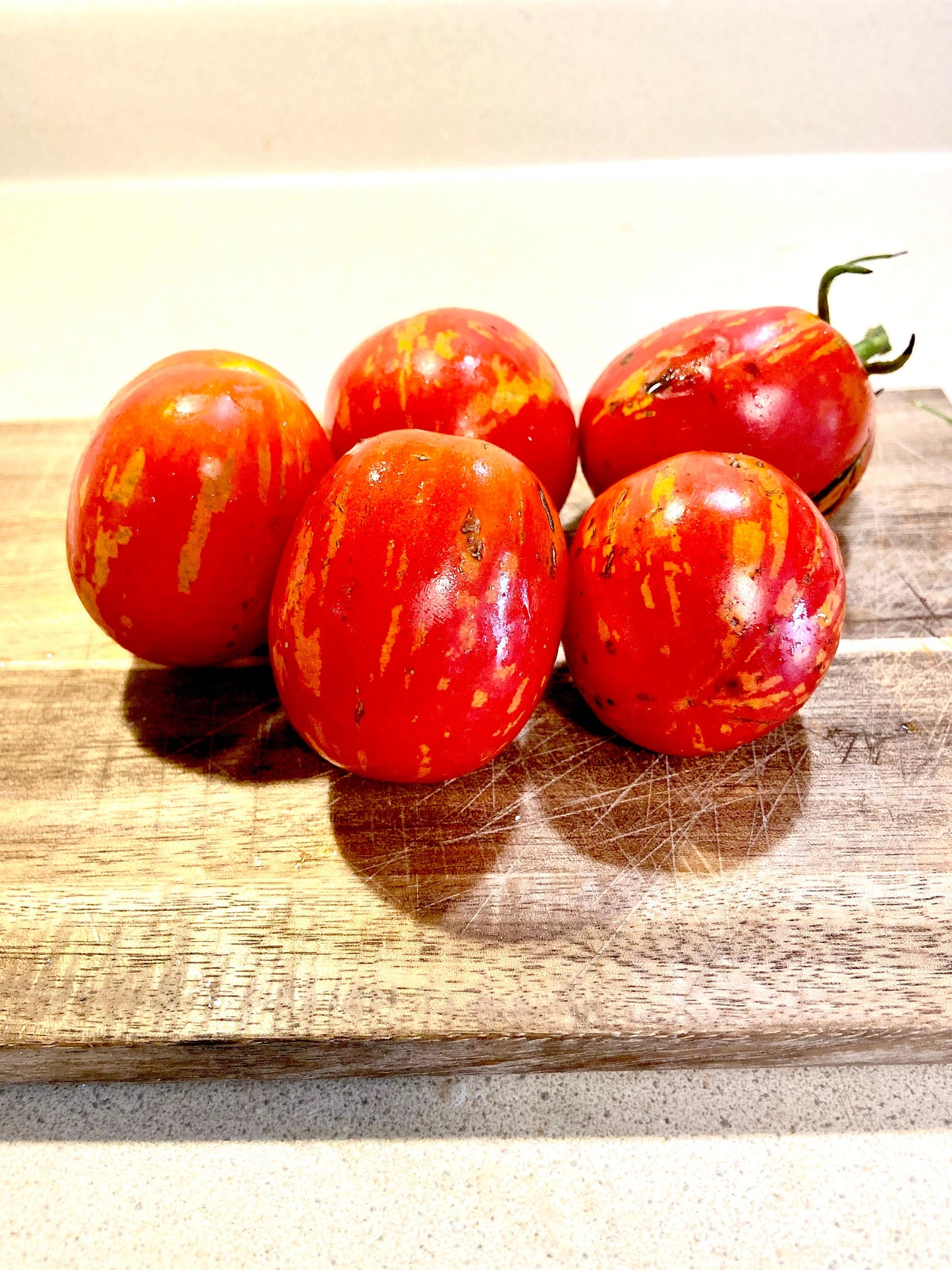 Tomato - Russian Queen