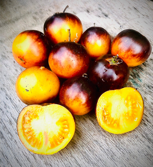 Tomato - Orange Blue