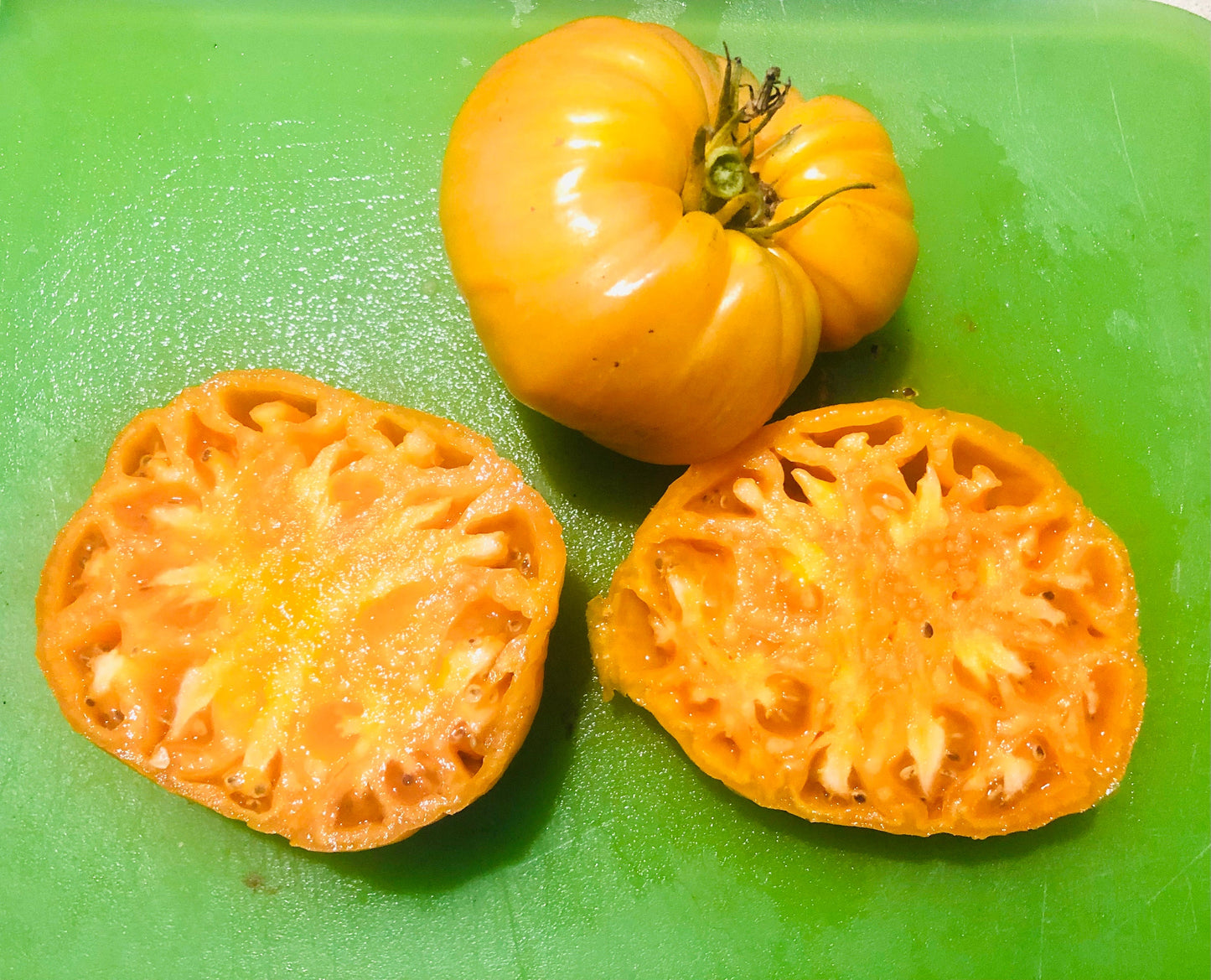 Tomato - Orange Jazz