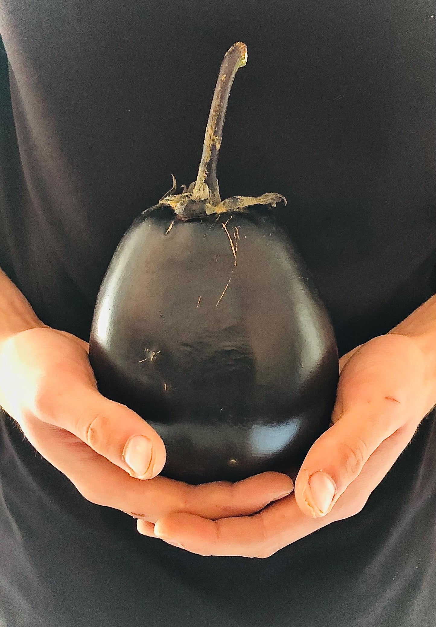 Eggplant - Mitoyo