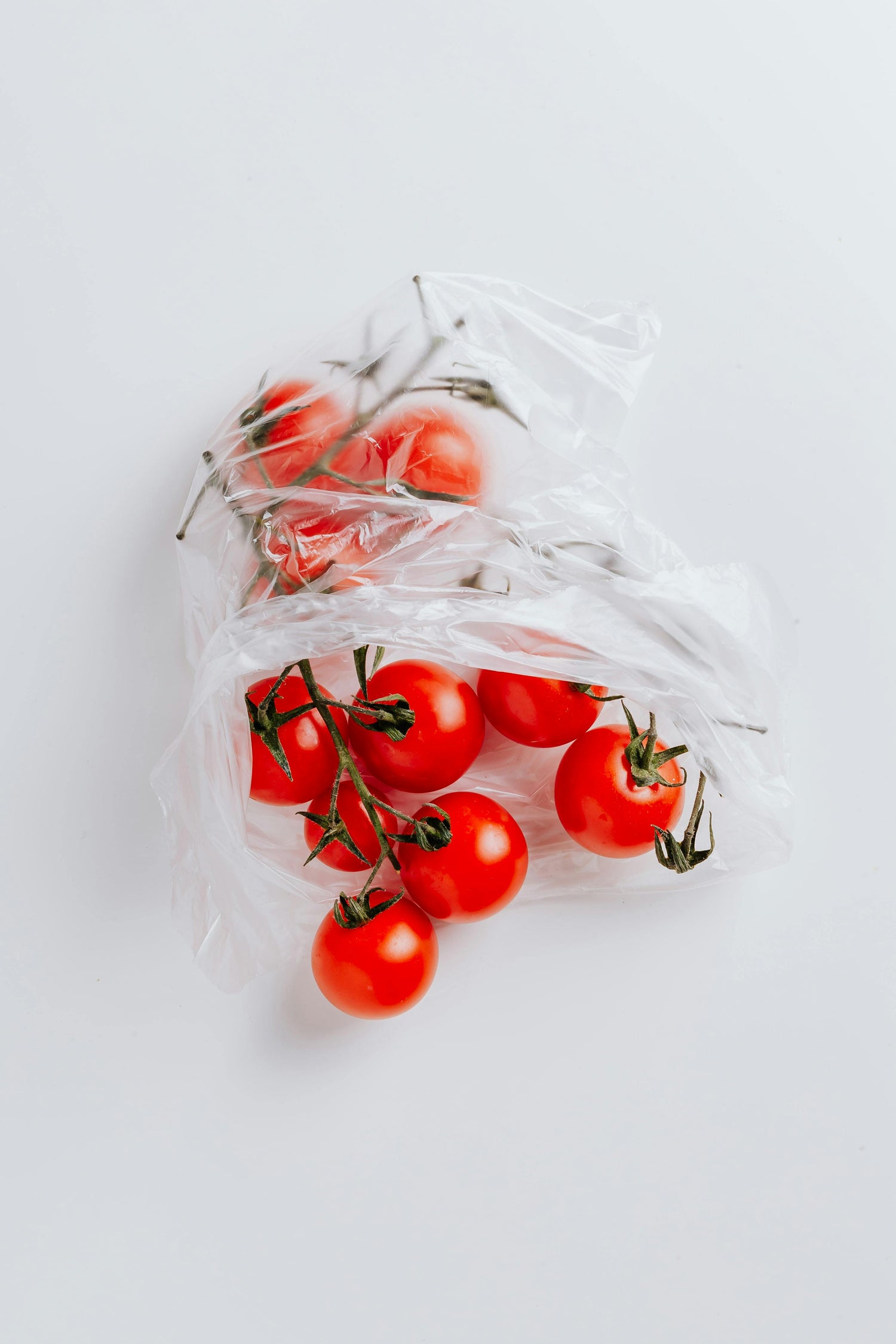 Tomato Seeds