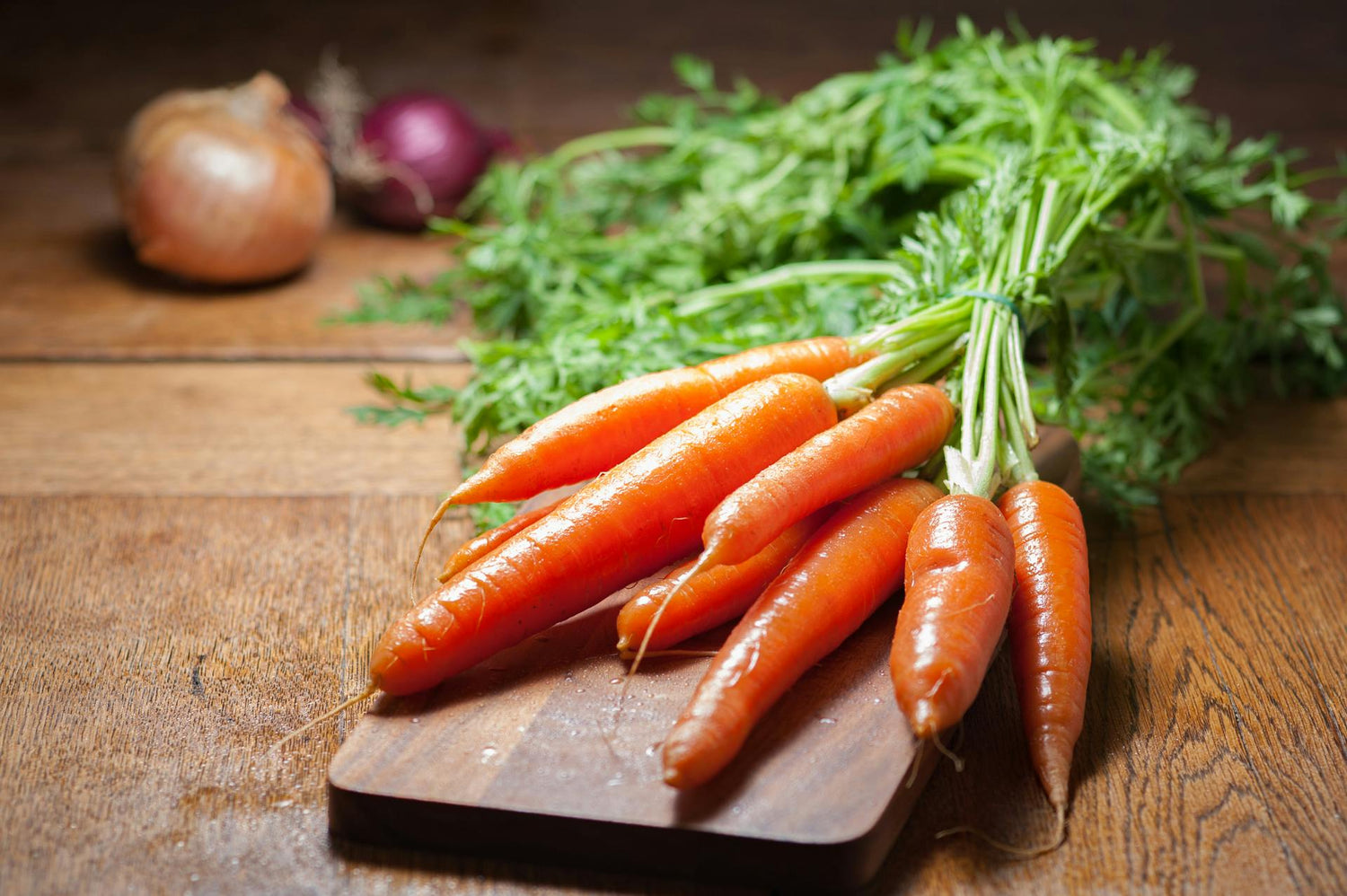 Carrot Seeds