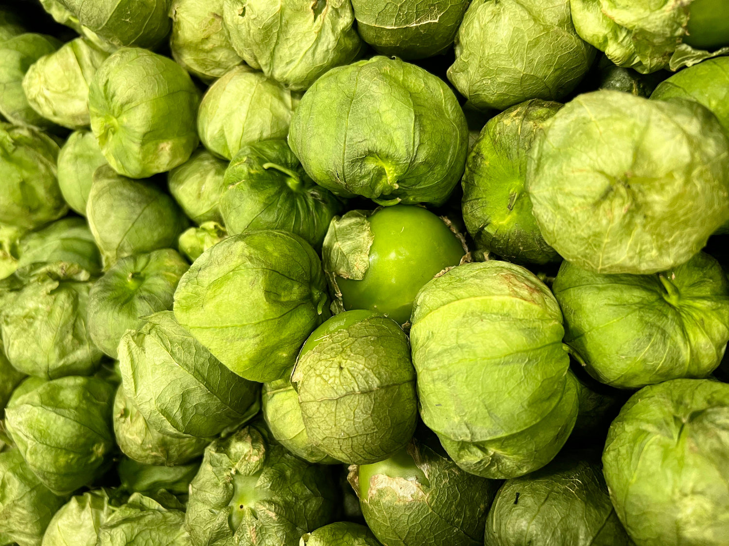 Tomatillo Seeds