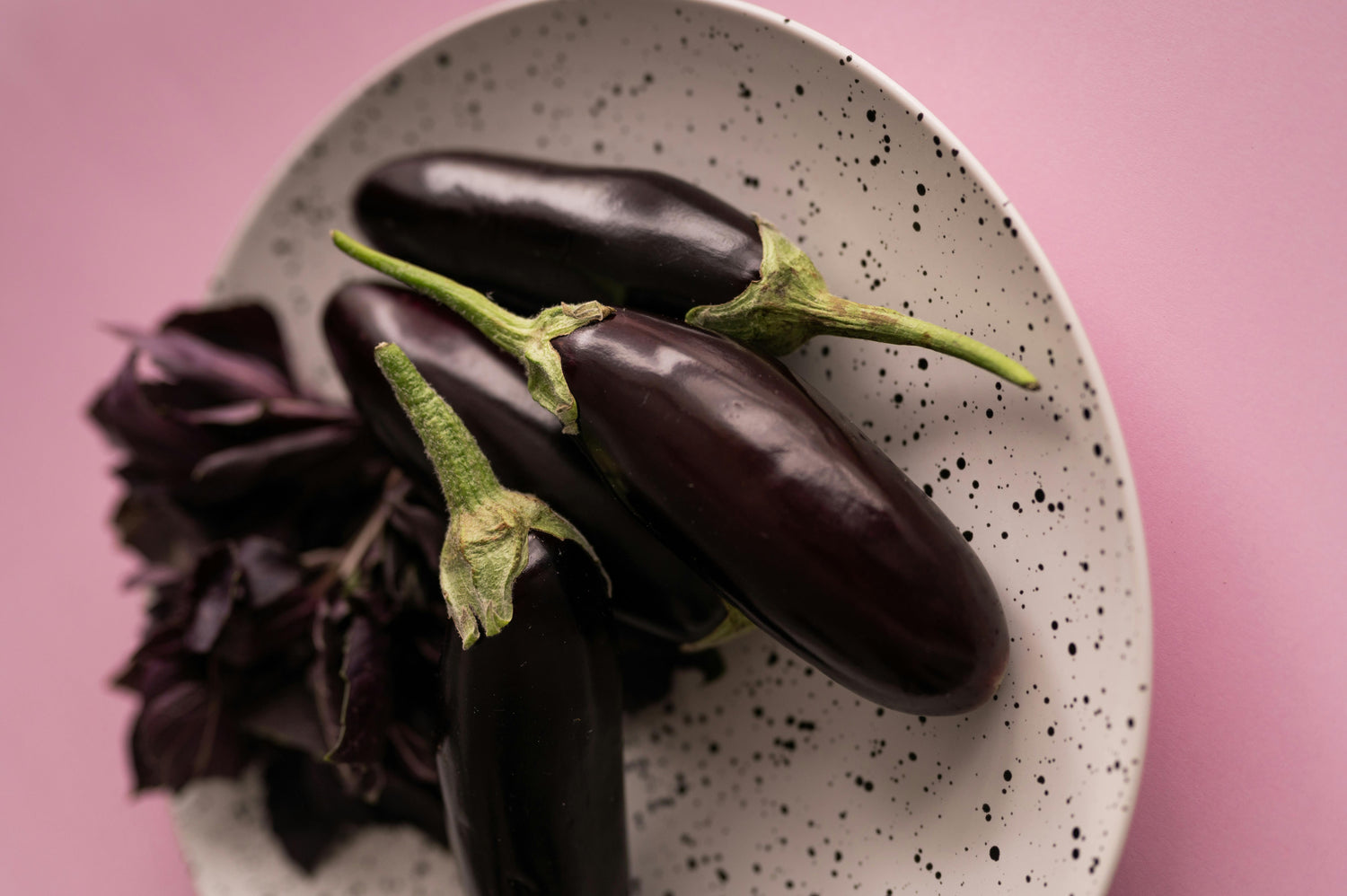 Eggplant Seeds