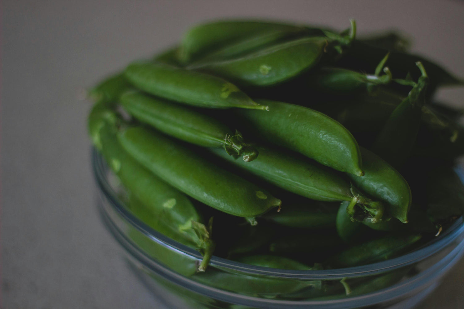 Bean Seeds