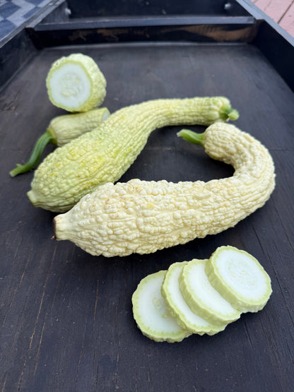 Summer Squash - Rugosa Friulana