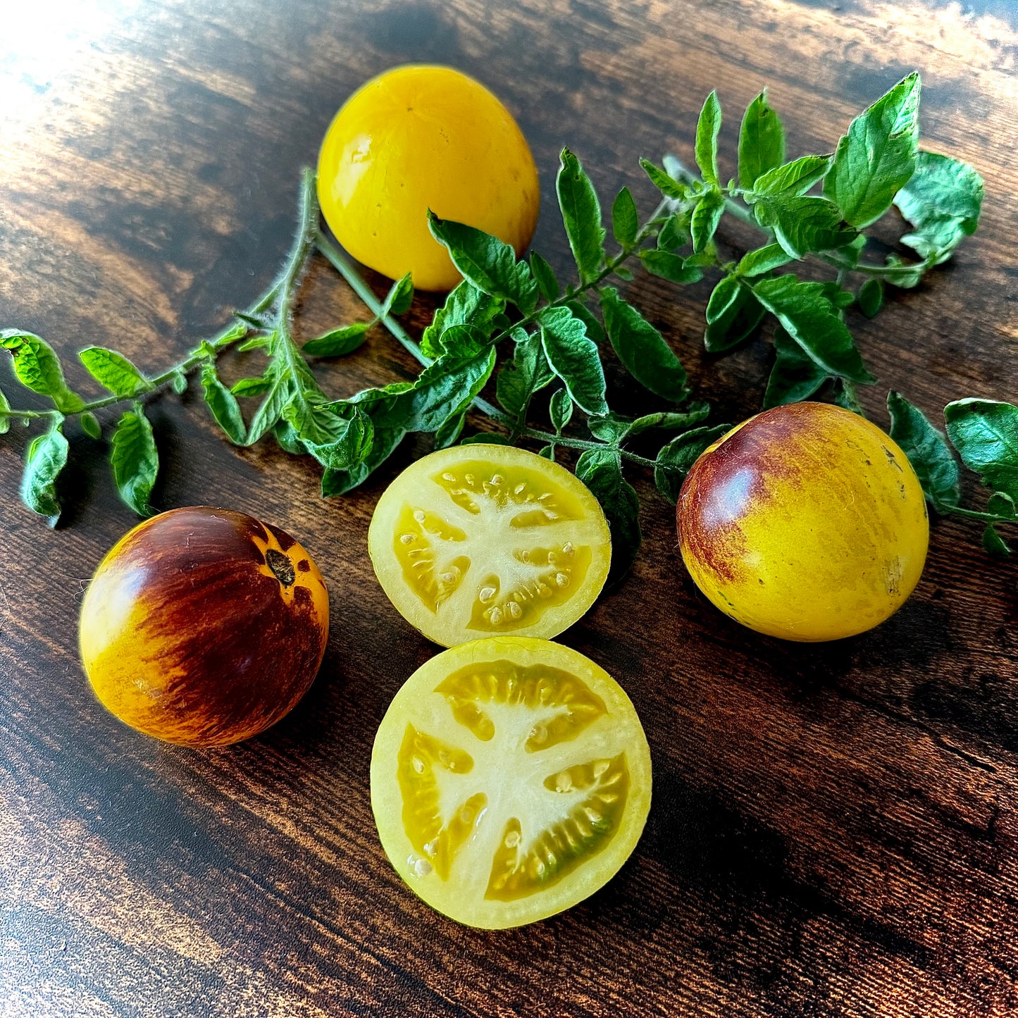 Tomato - Dark Knight