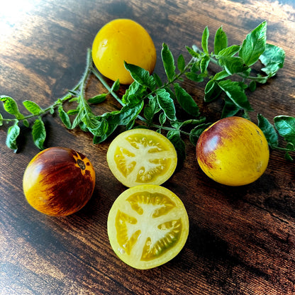 Tomato - Dark Knight