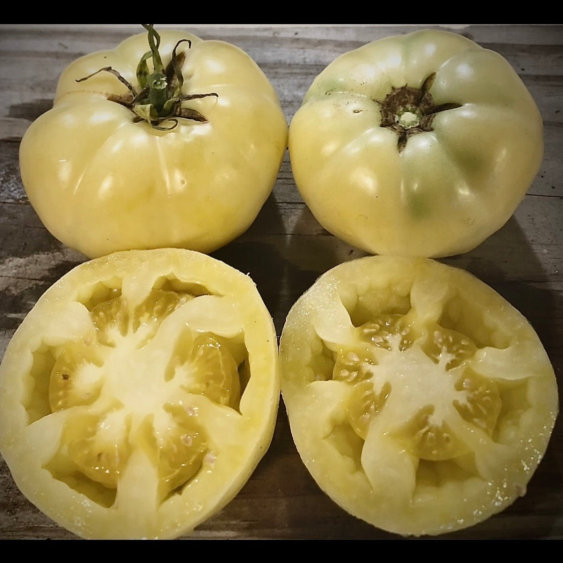 Tomato - White Tomesol