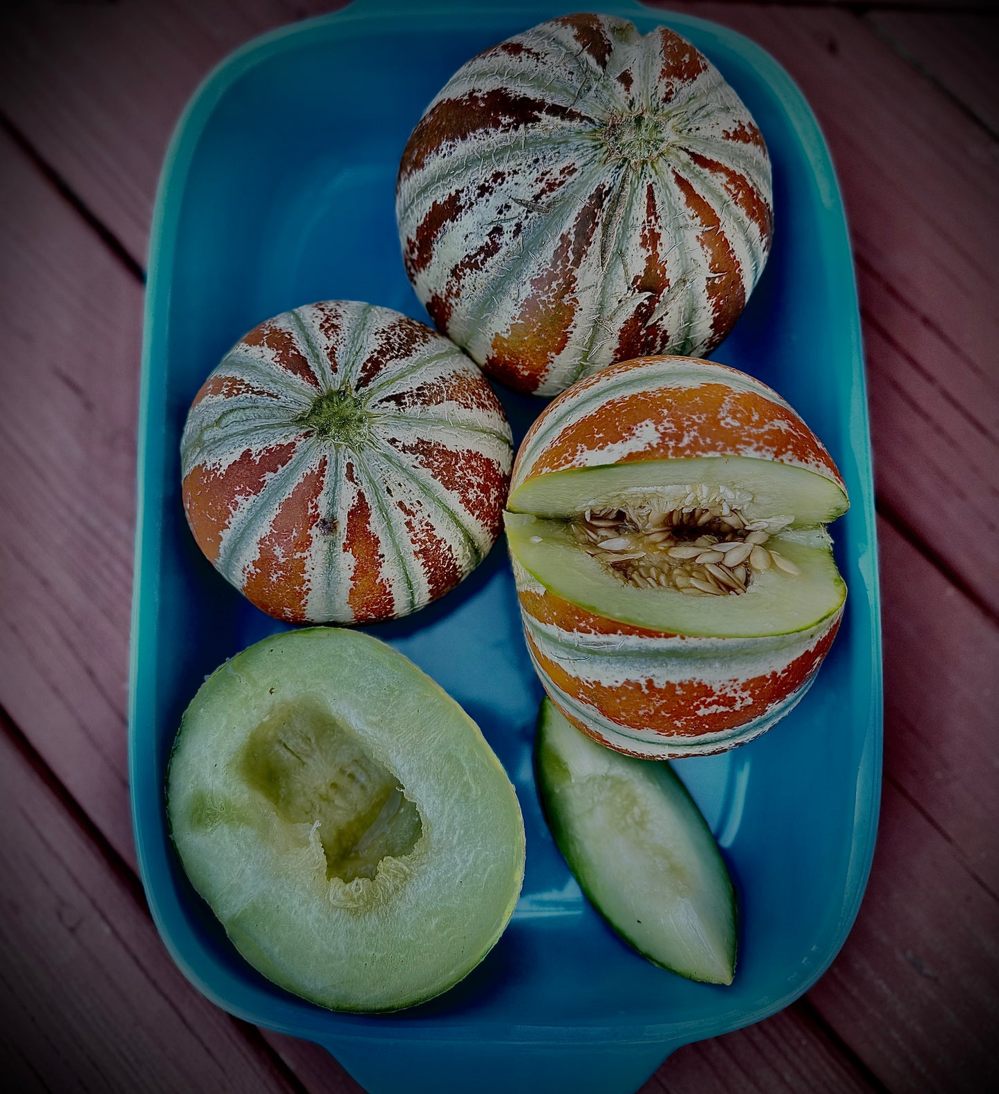 Kajari - Melon Seeds