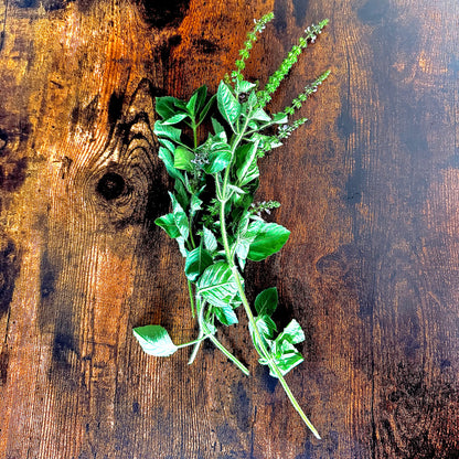 Basil - Blue Spice