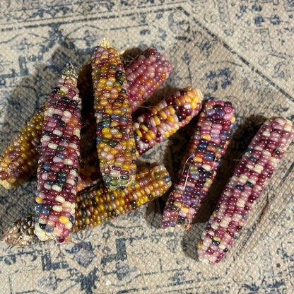 Corn - Glass Gem