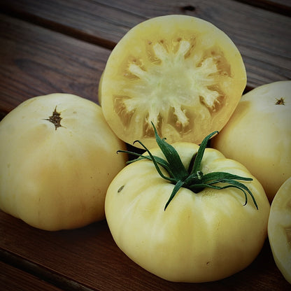 Tomato - White Tomesol