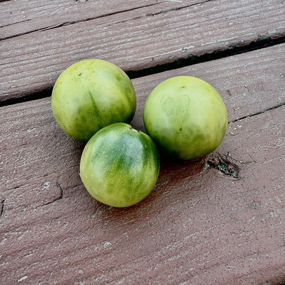 Tomato - Esmeralda Golosina