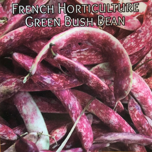 (Copy) Bean - French Horticulture Bush