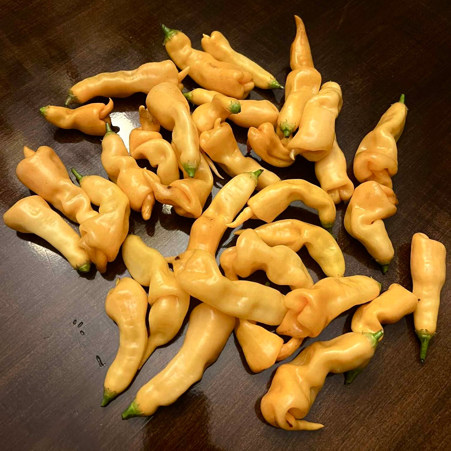 Pepper - Sugar Rush Peach