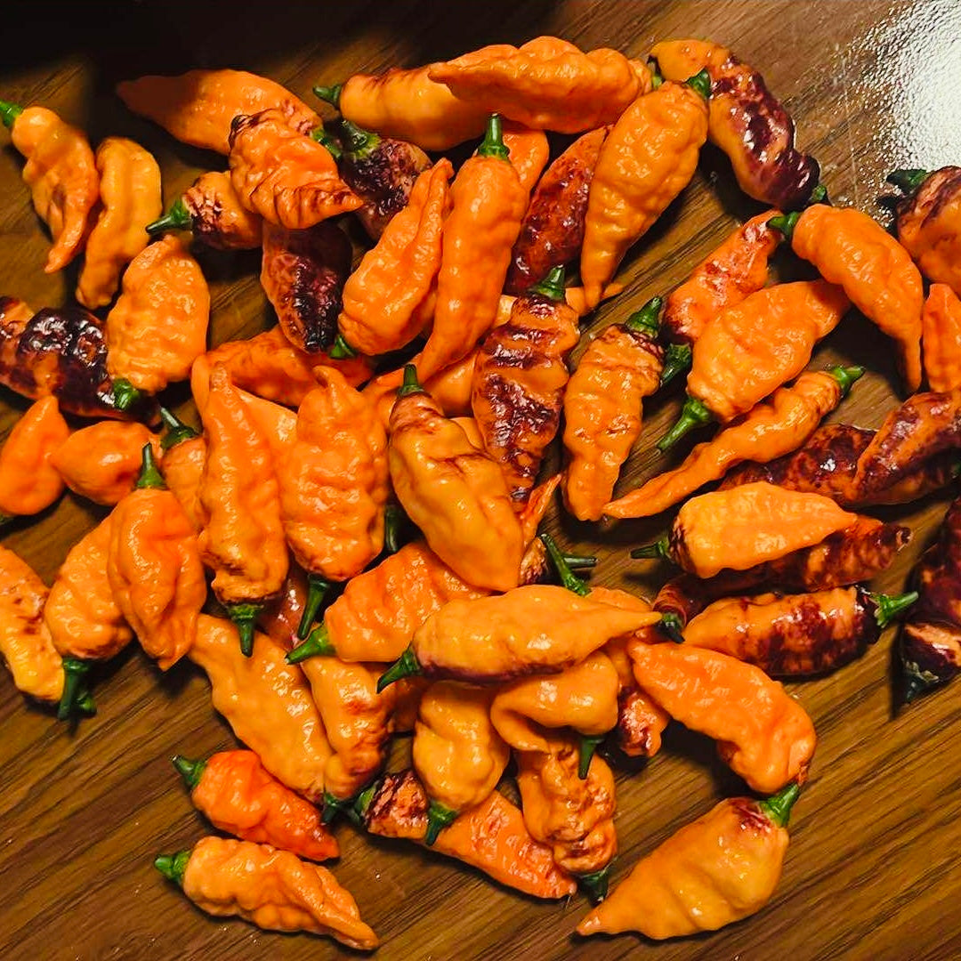 Pepper - Black Panther