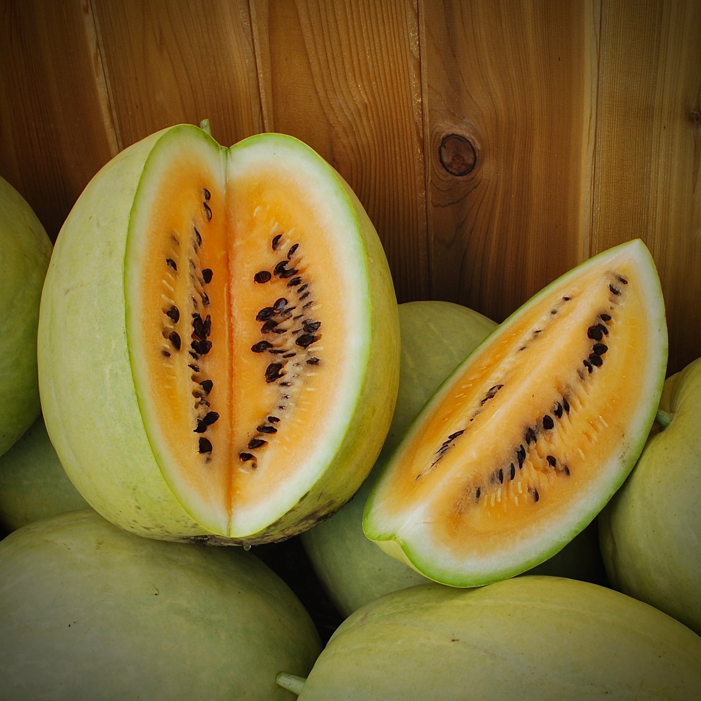 Watermelon - Desert King