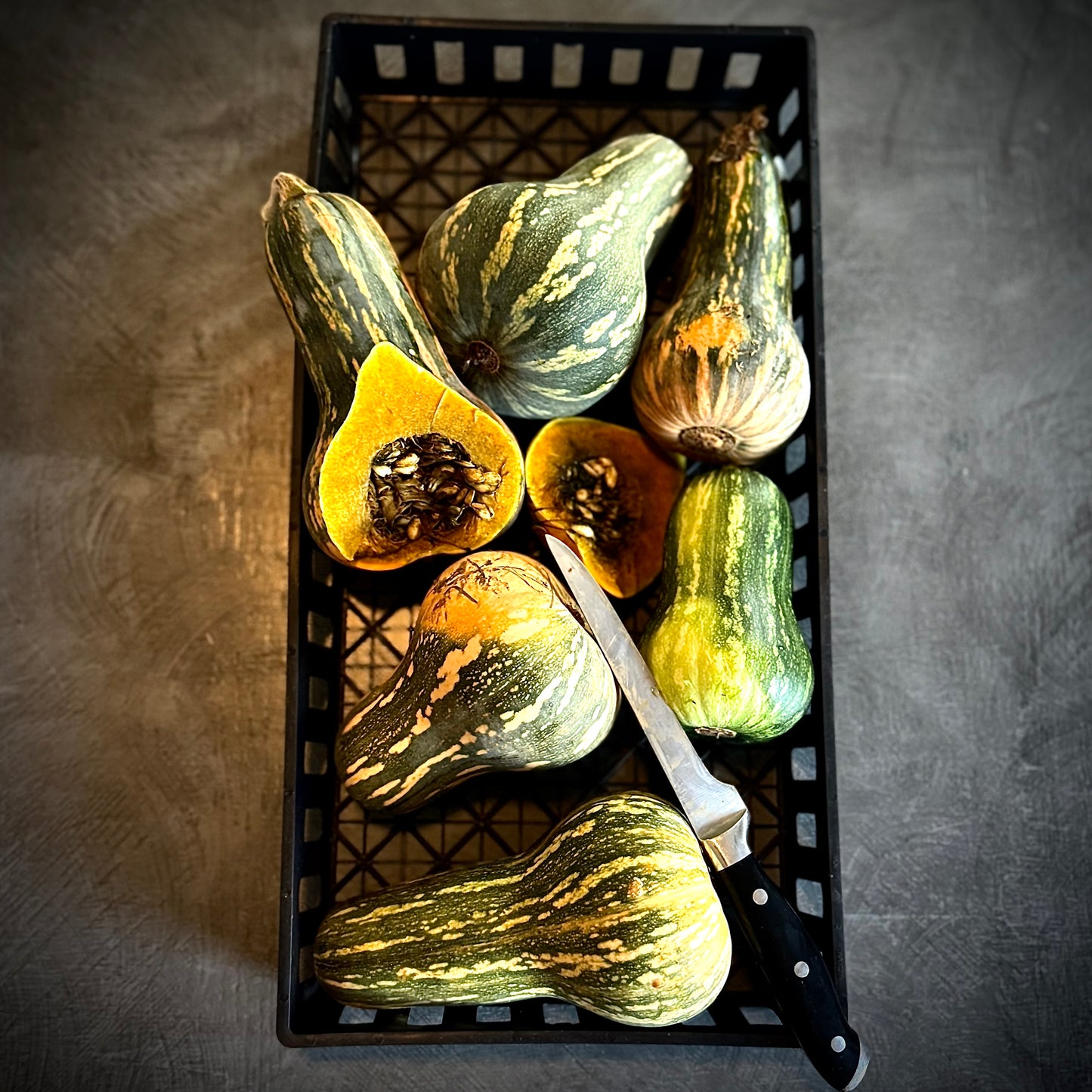 Squash - Ayote Green Fleshed