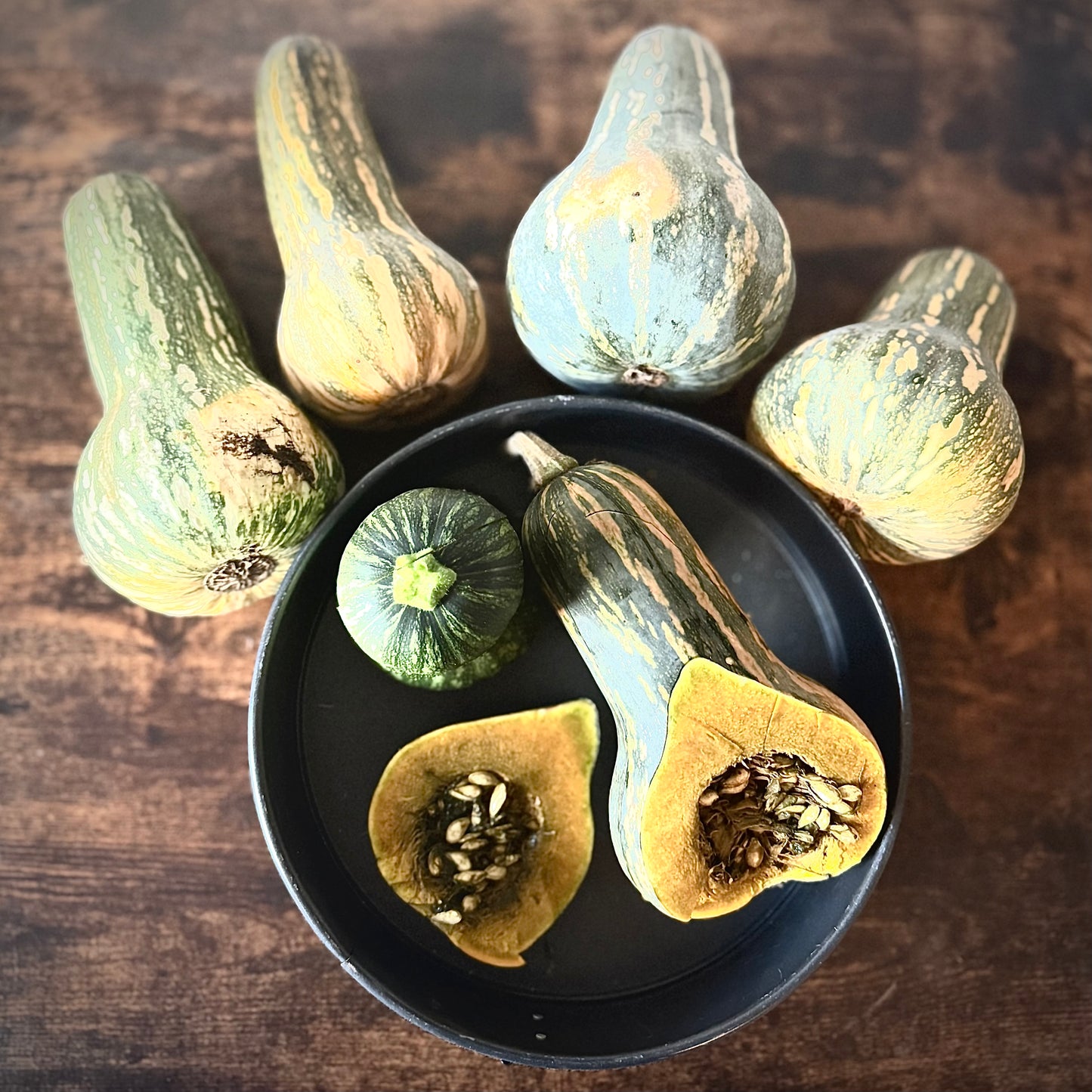 Squash - Ayote Green Fleshed